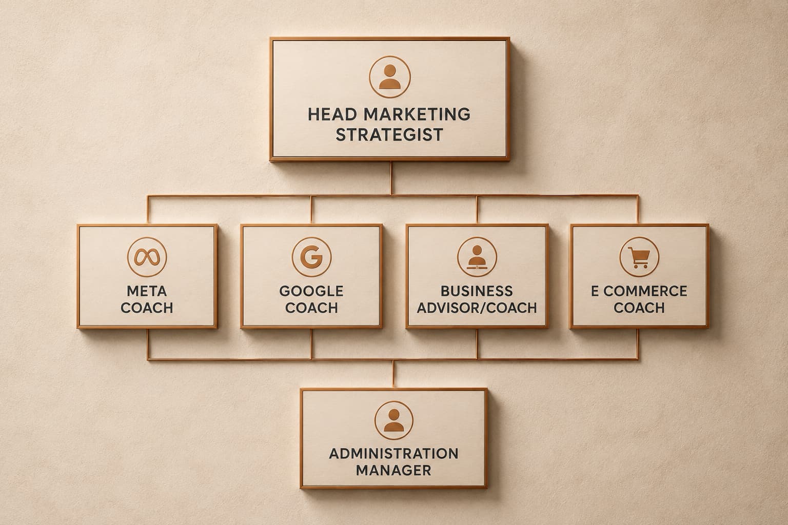 The Elevatory team structure: Head Marketing Strategist leading Meta Coach, Google Coach, Business Advisor/Coach and E Commerce Coach, supported by an Administration Manager