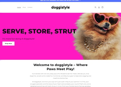 Doggi — Dog food brand: successful launch with ads and smart messaging driving daily sales