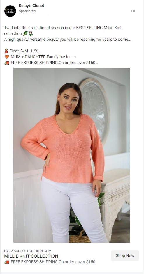 Daisys-Closet-FB3